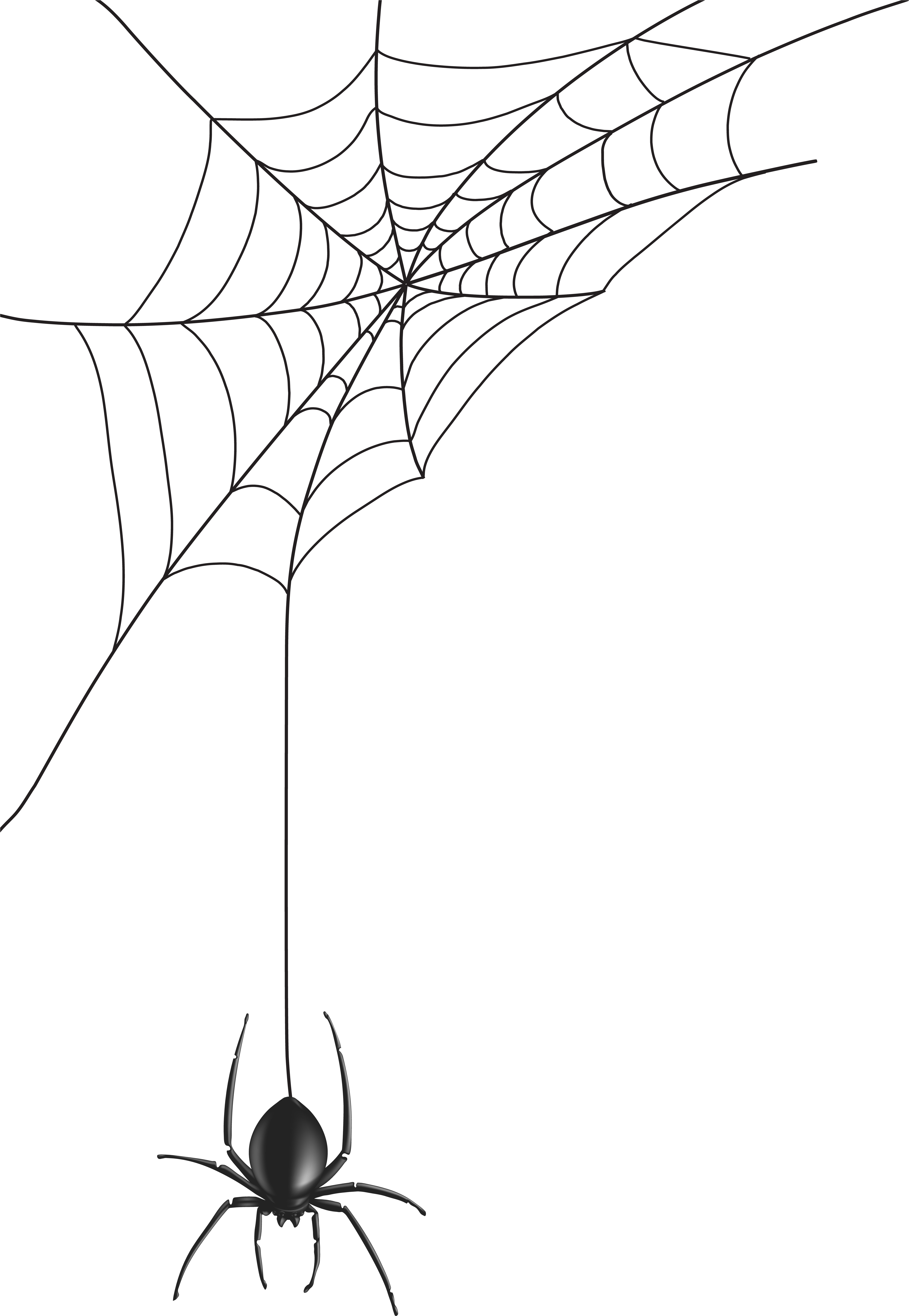 Free Spider Png Clip Art Image Gallery Yopriceville (5491x8000), Png Download