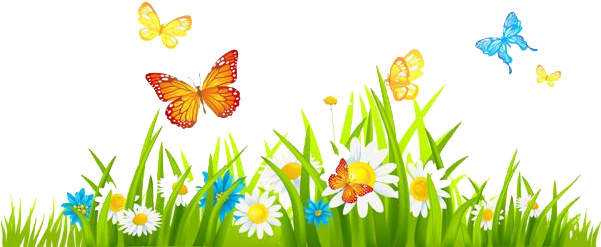 Spring - Grass With Flower Clipart (600x258), Png Download