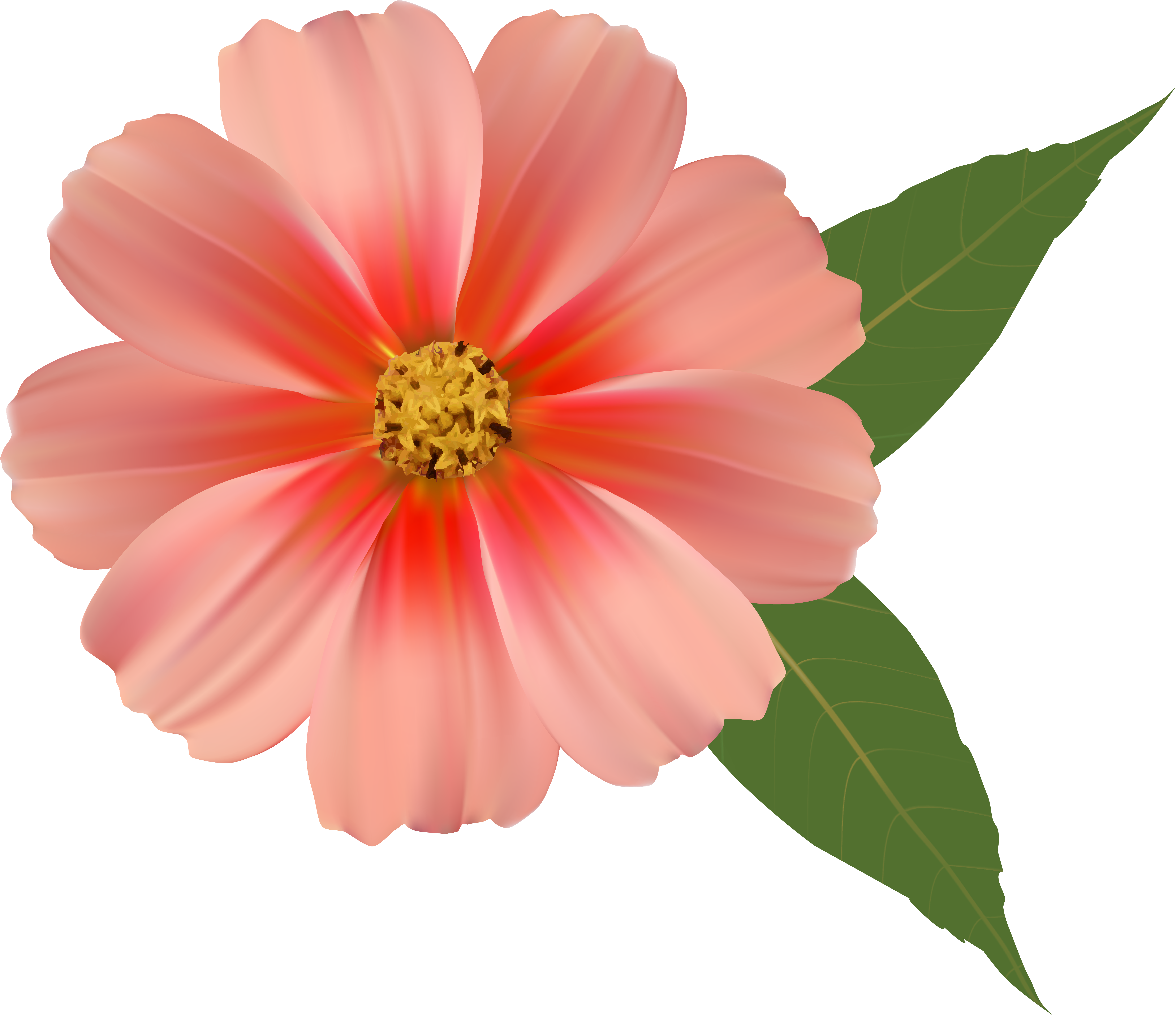 Png Flowers (5828x5120), Png Download