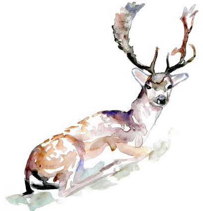 〈 雪冠。snowcrown - Transparent Deer (409x426), Png Download