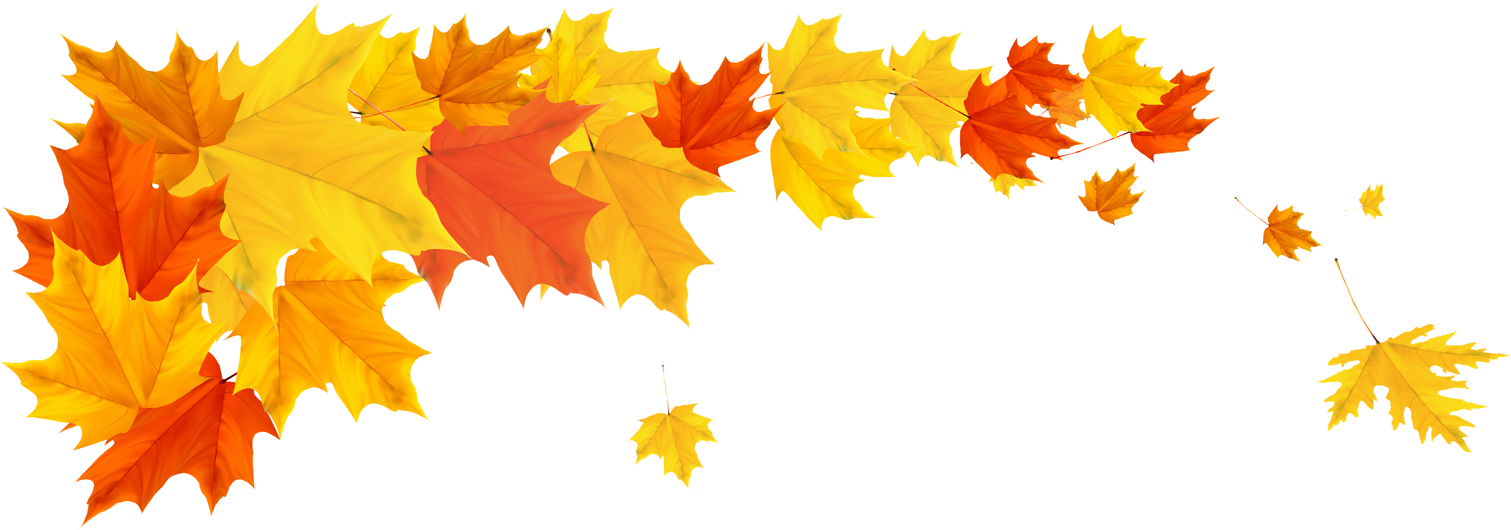 Fall Leaves Border Png (3245x1449), Png Download