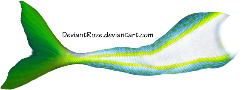 Banner Transparent Mermaid Tail Clipart Black And White - Mermaid Tail Side View (900x425), Png Download