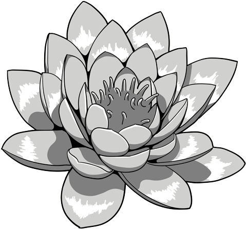 Lotus Flower Tattoos - Lotus Flower Tattoo Flash (500x468), Png Download