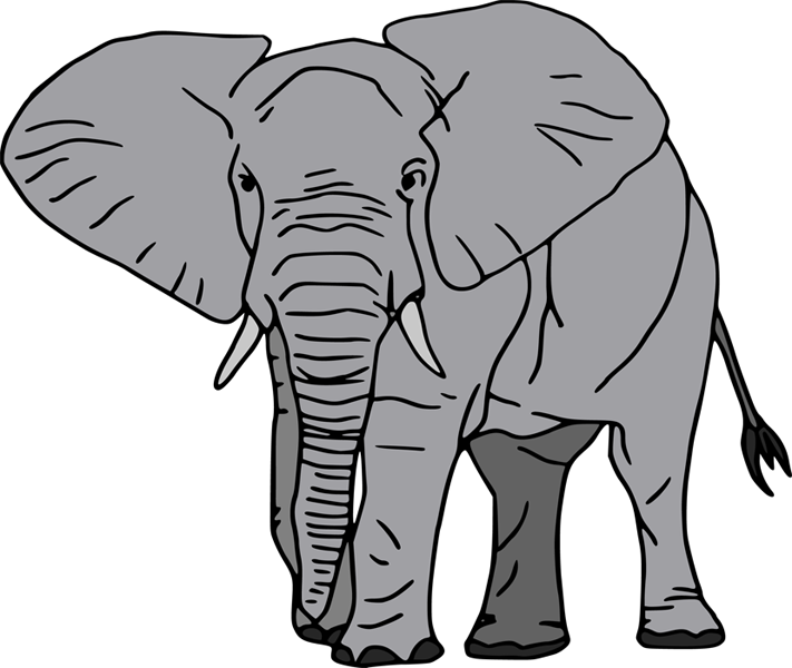 Asian Elephant Clipart Zoo Animal - Elephant Cartoon White Background (711x600), Png Download