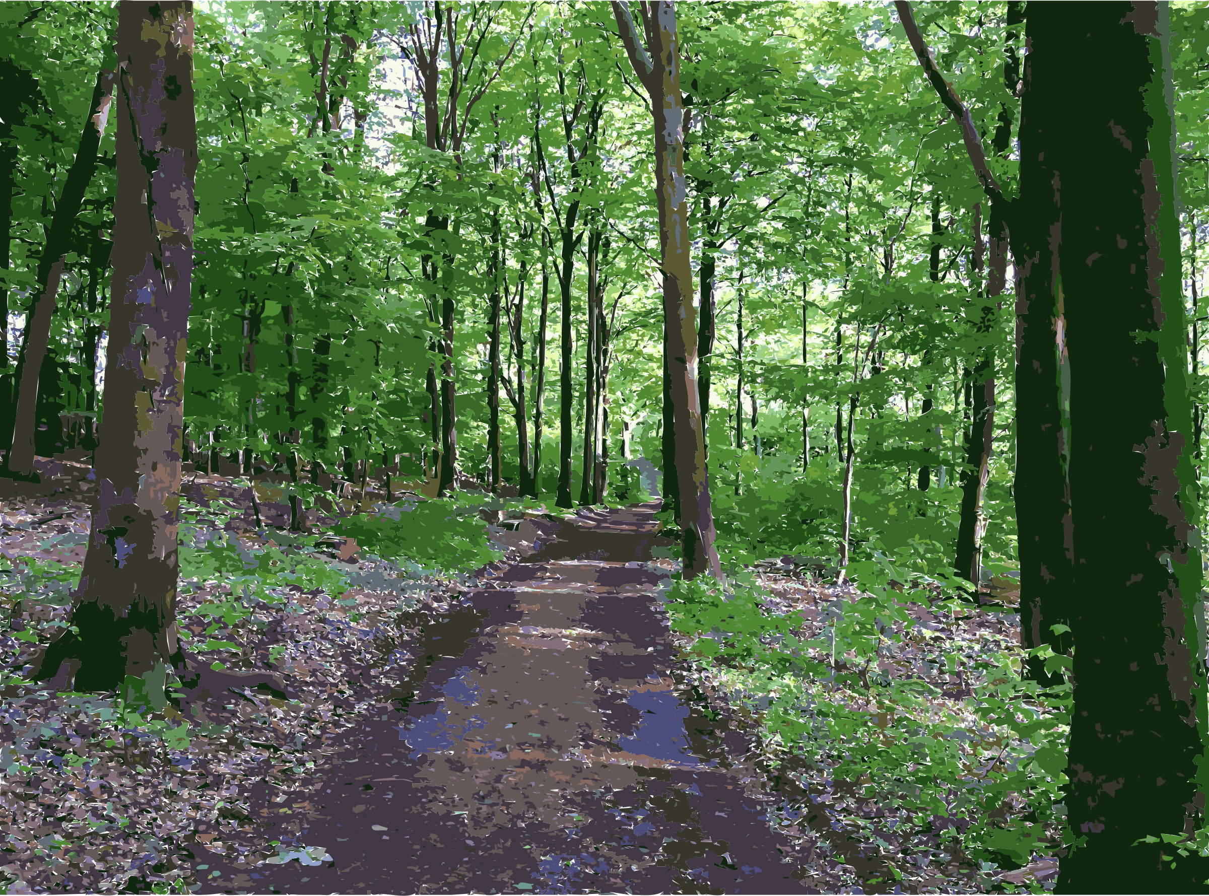 Lichtscheid Again Big Image Png - Forest Transparent (2400x1779), Png Download