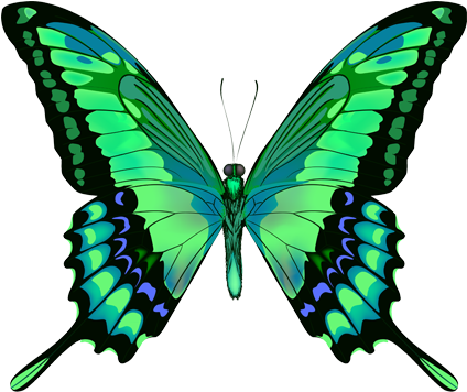 Green Butterfly Png - Blue Butterfly (494x355), Png Download
