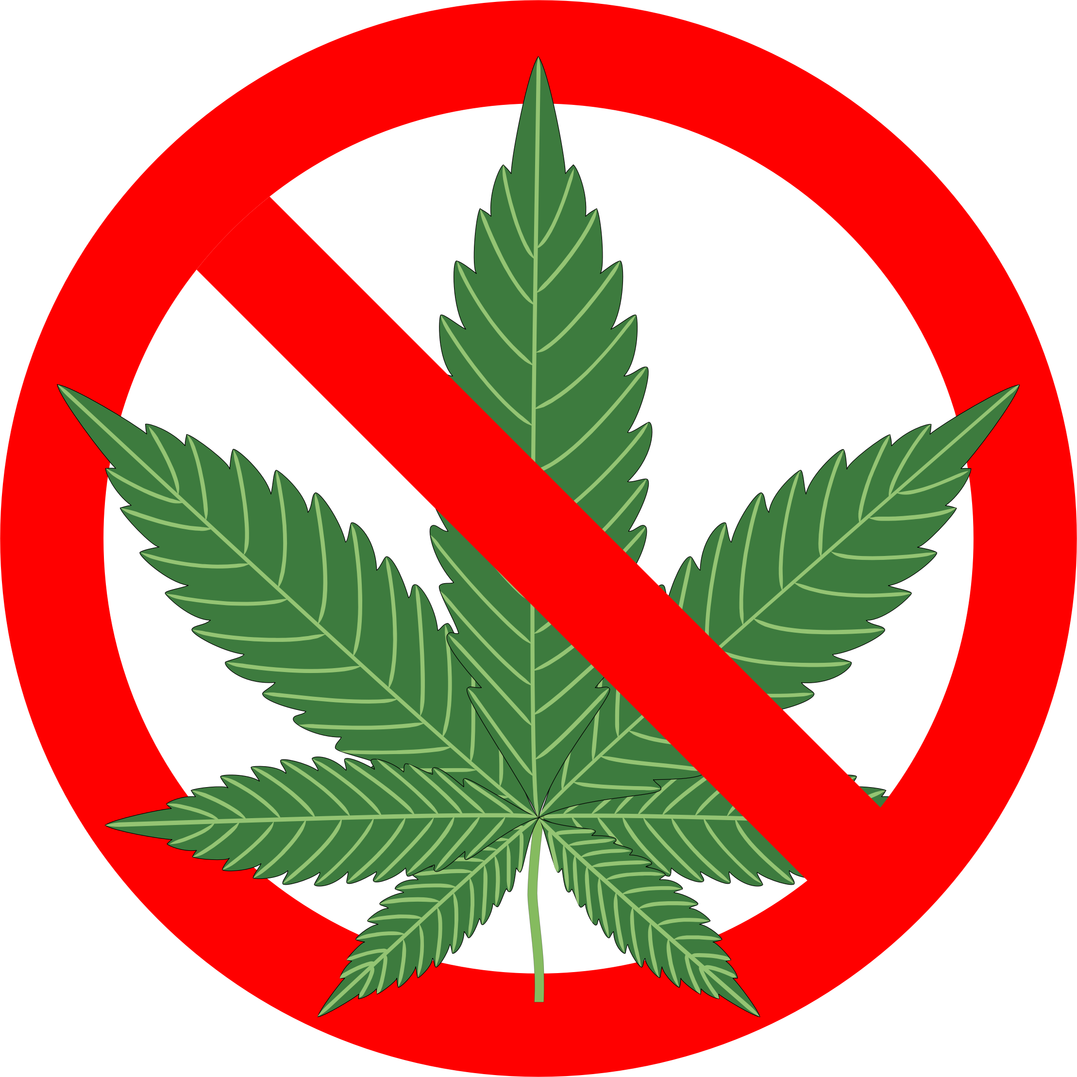 Motion To Dismiss Filed Challenging Patients' Rights - Reasons Not To Smoke Marijuana: The Complete (2218x2218), Png Download