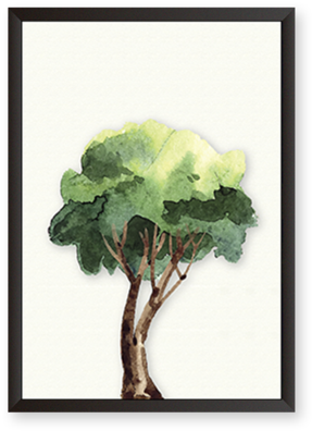 Tree (480x480), Png Download