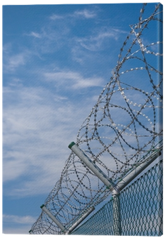 Security Fence With Barbed Wire Canvas Print • Pixers® - Barbed Wire (400x400), Png Download