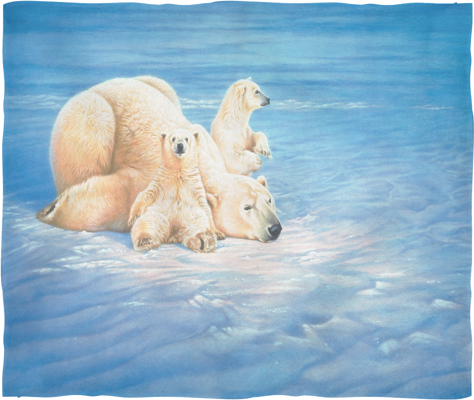 Schmidt Joh Naito Polar Bears Jigsaw (1000 Pieces) (1024x1024), Png Download