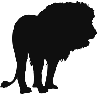 Lion Wild Animals Clip Arts Free Background, Lion, - สัตว์ ป่า สี ดำ Png (640x640), Png Download