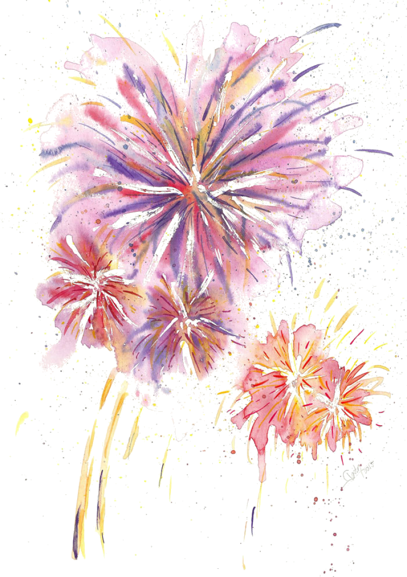 Thought For June - Dianthus (800x1133), Png Download