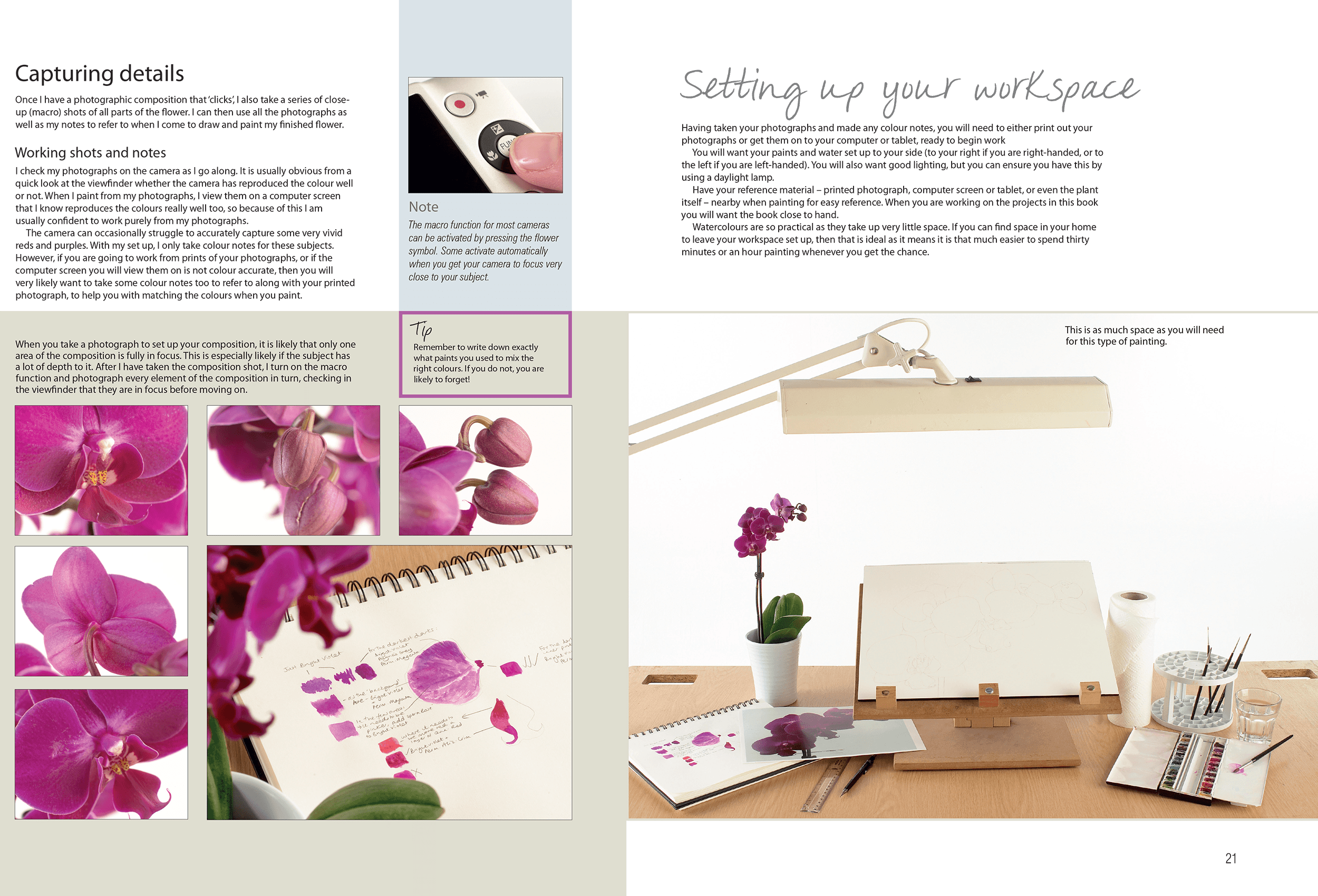 Anna Mason Art Anna Mason, Watercolor Art, Dibujo, (2500x1700), Png Download