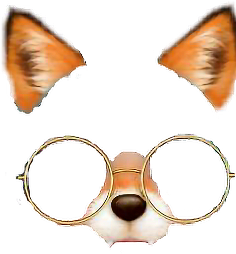 Fox Foxfilter Glasses Filter - Snow Filters Png (478x592), Png Download