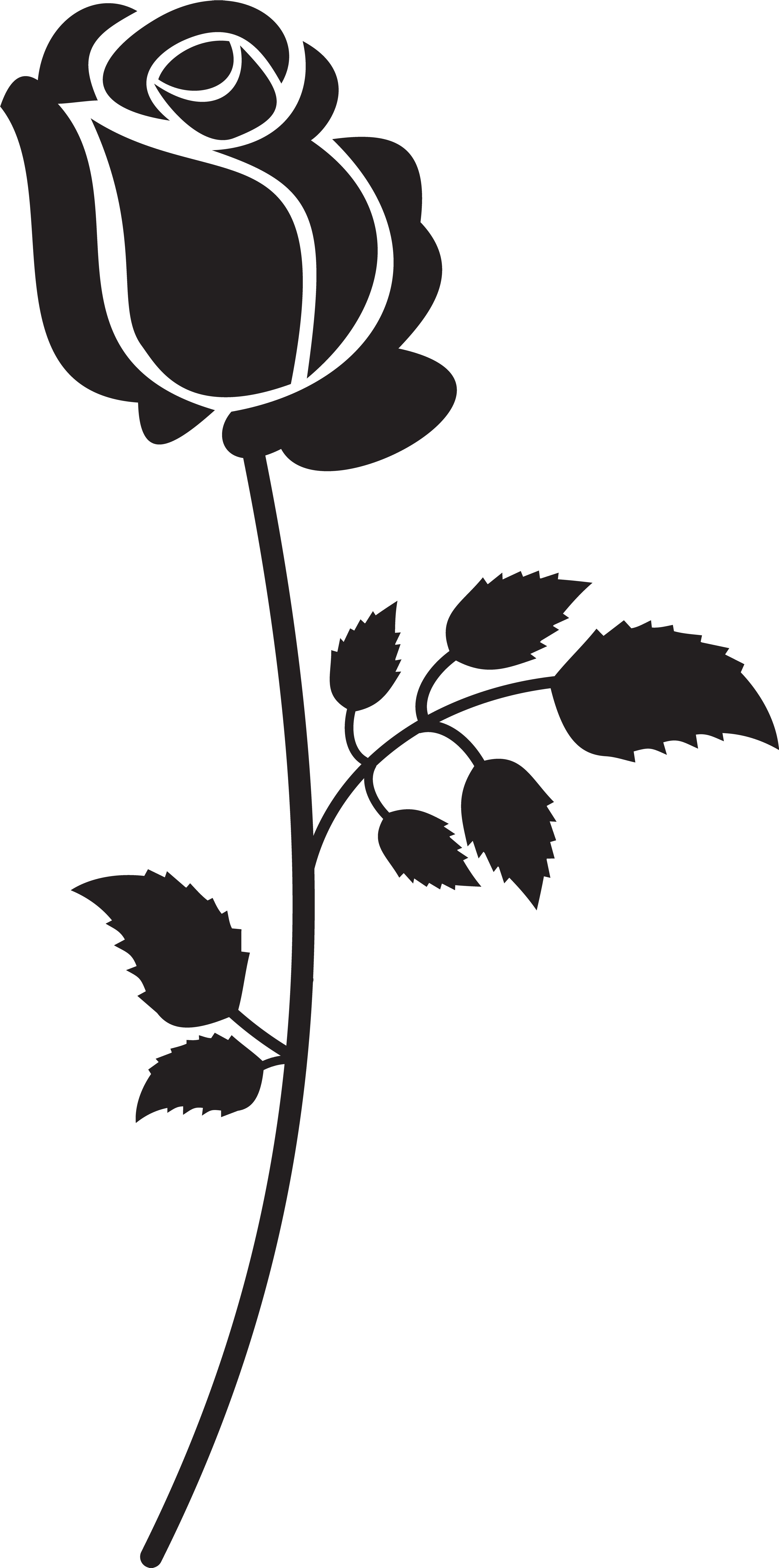 Picture Free Download Silhouette At Getdrawings Com - Black And White Rose Clipart Png (3591x7000), Png Download