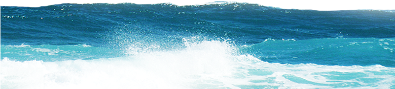 Sea Png - Sea (800x200), Png Download