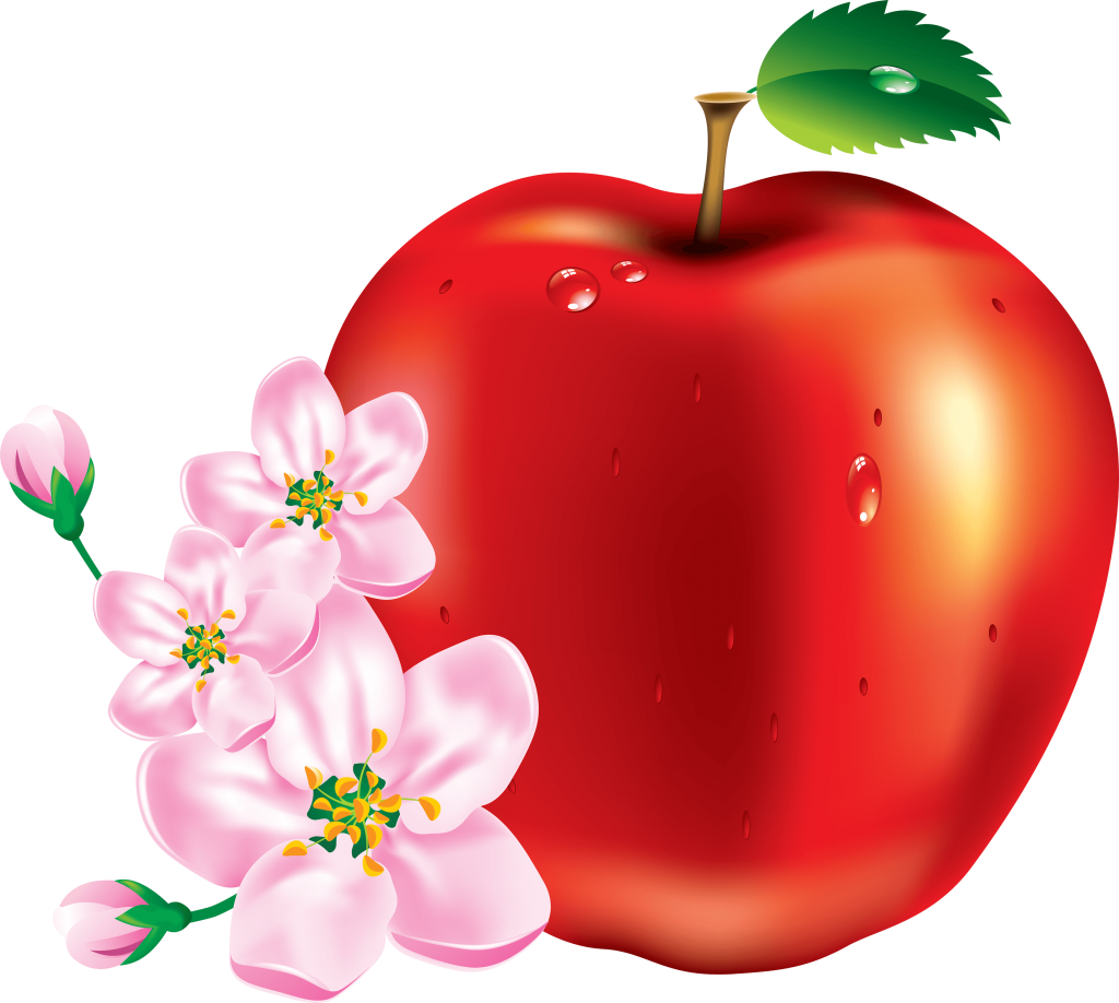 Red Apple Png Vectors - Apple Images Download (1024x918), Png Download