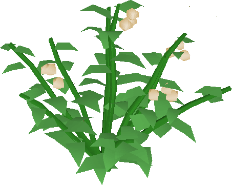 Poison Ivy Berry Bush - Lily Plant Png (453x361), Png Download