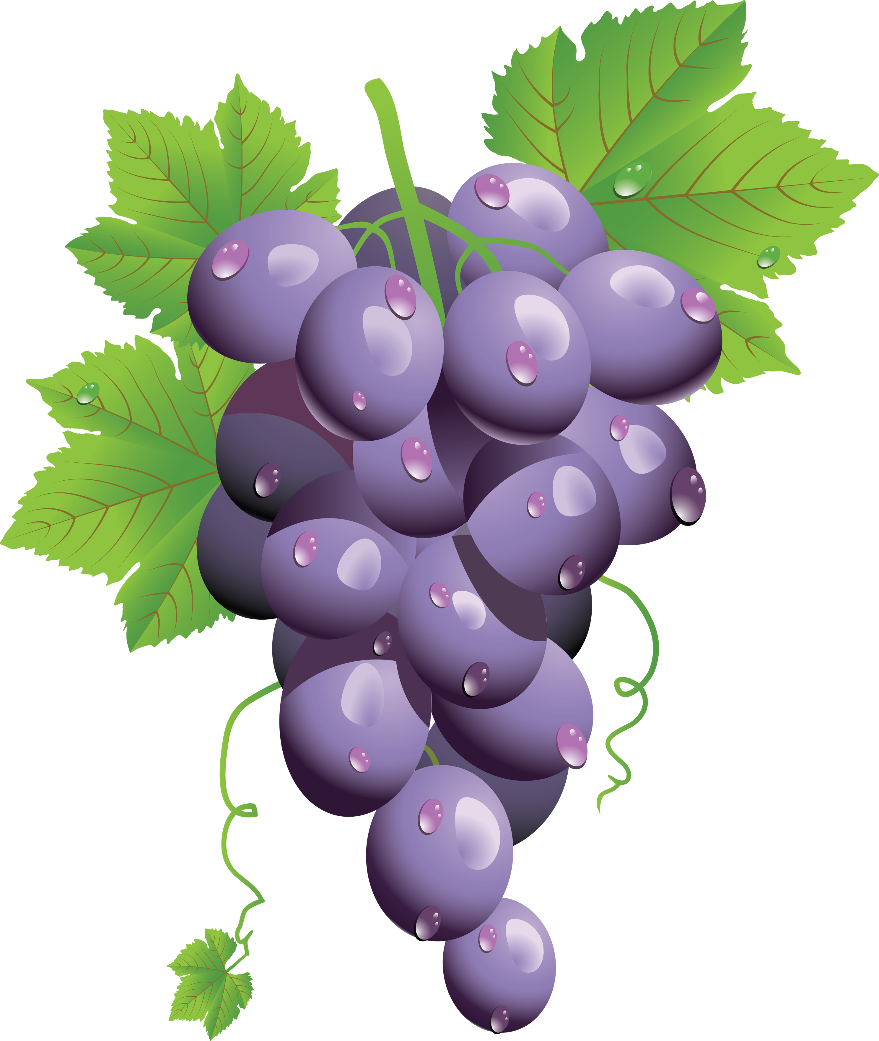 Png Grapes (2976x3526), Png Download