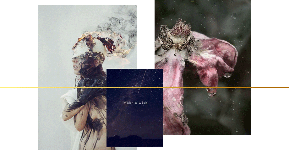 A Fable About Death - Floral Design (920x480), Png Download