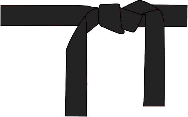 Blackbelt - Black Belt 3 Stripes (640x400), Png Download