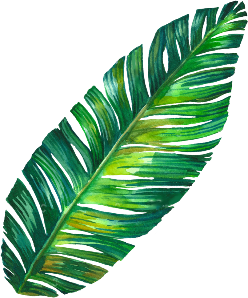 Leaf Png Tumblr - Banana Leaf Tumblr Png (1024x1024), Png Download