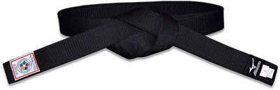 Mizuno Silver Ijf Approved Black Belt - Plastic (400x900), Png Download