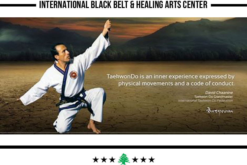 Homepage Image 7 - Tang Soo Do (800x534), Png Download