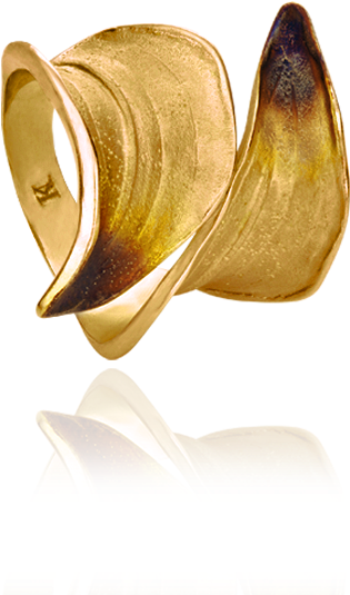 Ring (750x750), Png Download