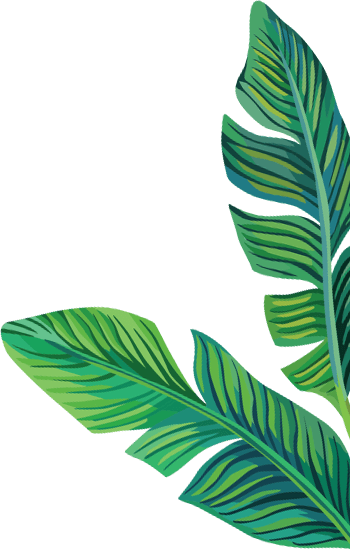 Careers - Myolab - Clipart Banana Leaves Png (350x550), Png Download