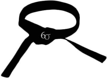 Six Sigma Black Belt - Six Sigma Black Belt Png Icon (375x375), Png Download