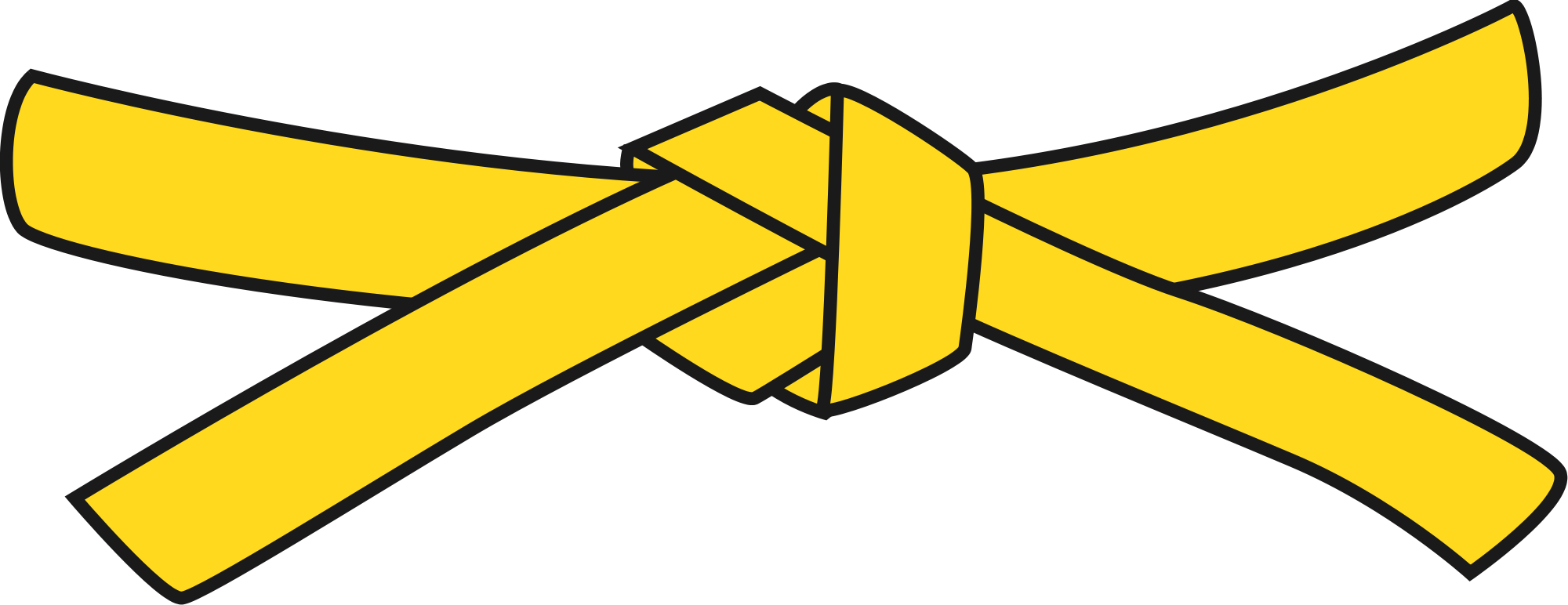 Th Kyu Yellow Martial Arts Academy - Yellow Belt (2000x772), Png Download