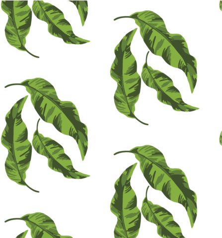 Banana Leaves Wallpaper - Banana Leaves (480x479), Png Download