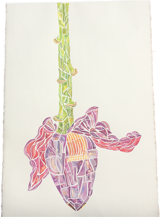 Watercolor Pencil Gouache On Paper (589x800), Png Download