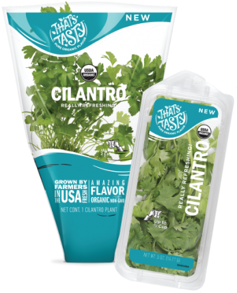 Moss (540x432), Png Download