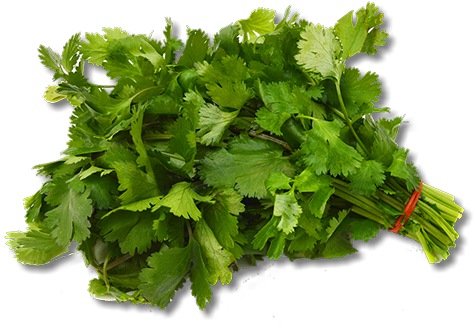Recipes Provided By H&c Friendly Partners - Spinach Png (487x336), Png Download