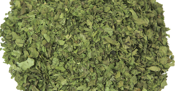 Leroy Merlin Jardin Vertical (600x315), Png Download