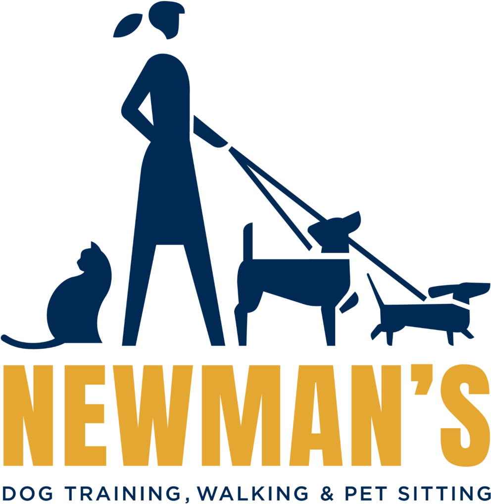 People Walking Dog Png (1000x1026), Png Download