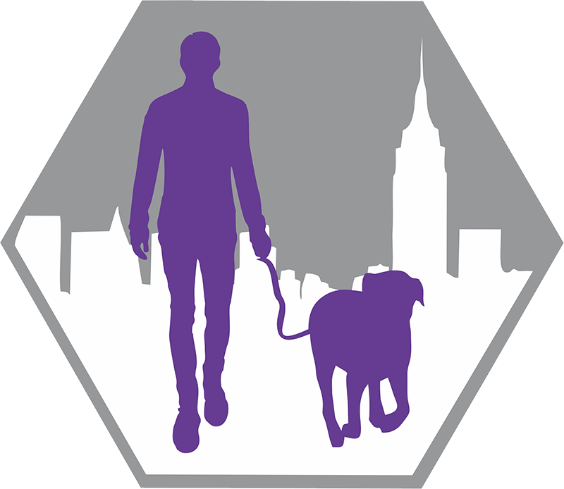 Our People - Dog Walking (800x694), Png Download