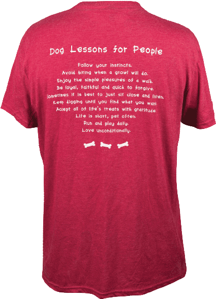 Dog Lessons For People - Active Shirt (800x600), Png Download