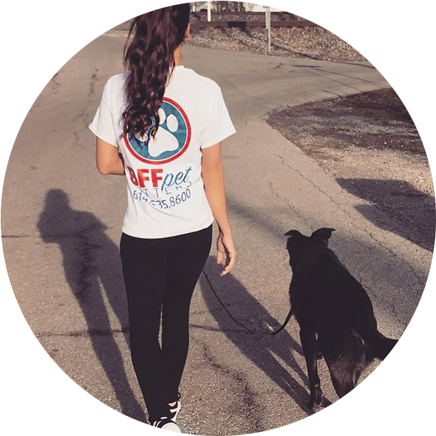 Dog Walking (668x657), Png Download