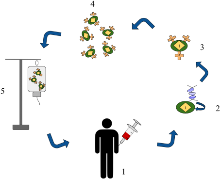 Living Medicines Accessing The Cancer Fighting Power - Cancer (800x388), Png Download