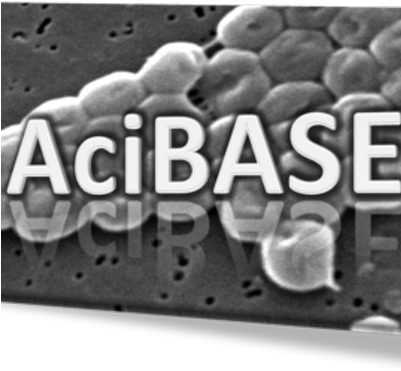 Jackie Chan - Acinetobacter Baumannii (400x400), Png Download