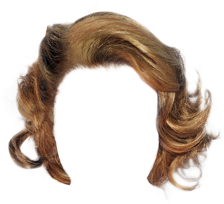 Lace Wig (521x625), Png Download