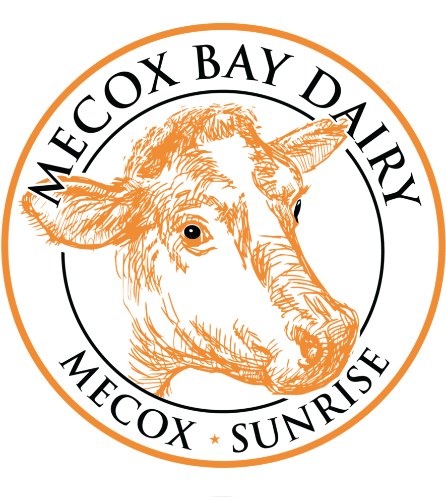 Mecox Sunrise - Texas Trial Lawyers Association (1000x1000), Png Download