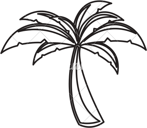 Palm Tree - Illustration (550x550), Png Download