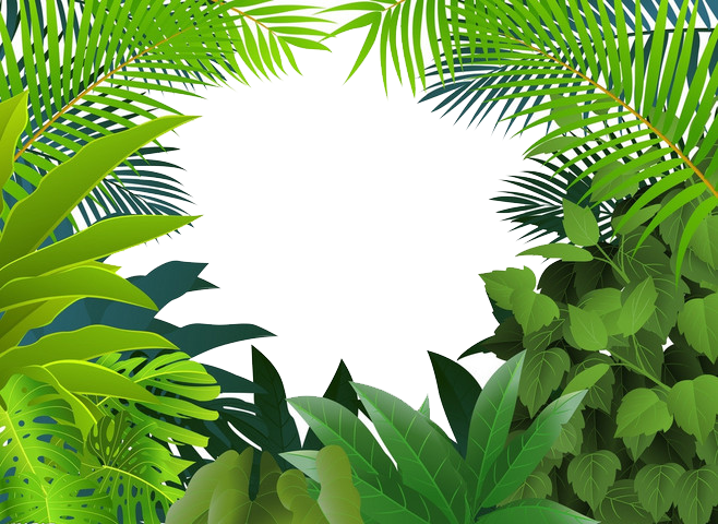 Jungle Clipart Palm Tree - Rainforest Jungle Clipart (658x480), Png Download