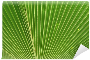 Chromium (400x400), Png Download