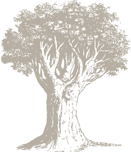 Genealogical Resources - Sketch (593x585), Png Download