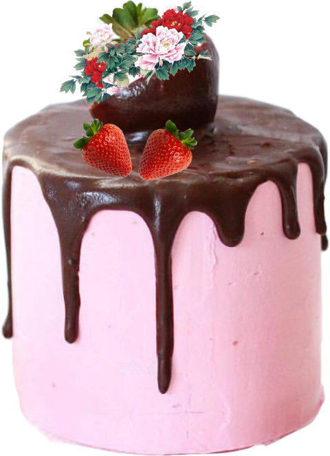 Largest Collection Of Free To Edit Chocolate Covered - Chocolate Cake (480x663), Png Download